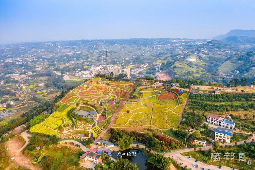天府旅游名镇1家(横江镇),省级生态旅游示范区2家(幸福公社,世界樟海)